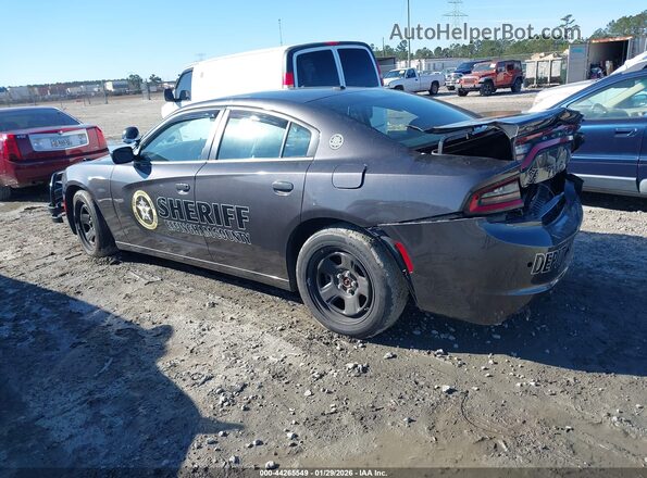 2C3CDXAT2PH583846 2023 DODGE CHARGER Серый Задняя левая четверть