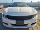 2023 Dodge Charger Sxt Белый vin: 2C3CDXBG9PH701683