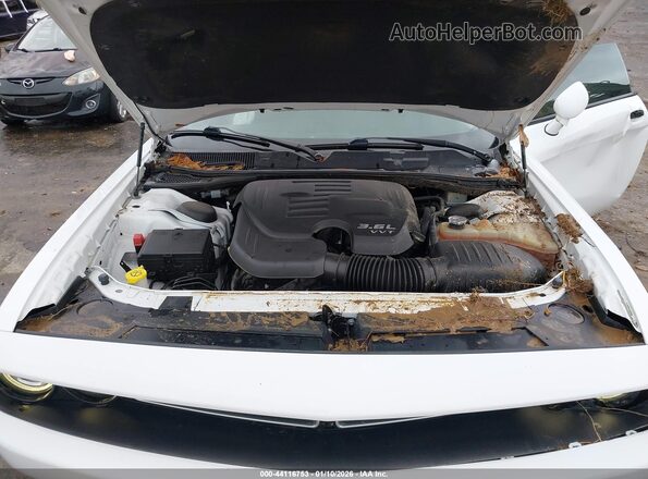 2C3CDZAG4KH744754 2019 DODGE CHALLENGER Белый Вид сзади