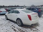 2016 Cadillac Xts Premium Collection Белый vin: 2G61P5S3XG9121349