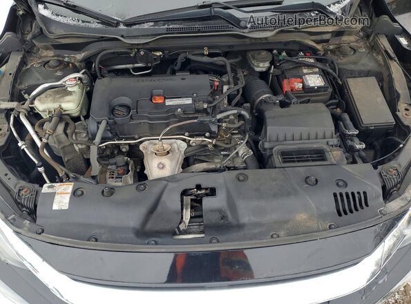 2HGFC2F56HH041497 2017 HONDA CIVIC Черный Вид задней части салона