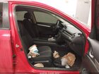2020 Honda Civic Lx Красный vin: 2HGFC2F65LH560560