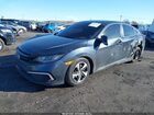 2019 Honda Civic Lx Gray vin: 2HGFC2F6XKH601232