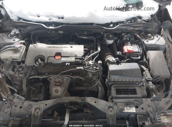2HGFC2F81LH592858 2020 HONDA CIVIC Gray Vista trasera