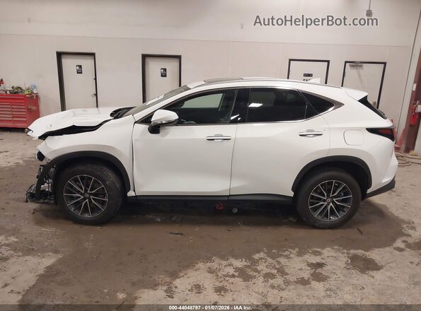 2T2ACCAZ1TC001013 2026 LEXUS NX 350H White უკანა სალონის ხედი
