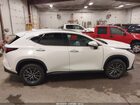 2026 Lexus Nx 350h   White vin: 2T2ACCAZ1TC001013