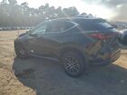 2024 Lexus Nx 250 Base Black vin: 2T2ADCAZ0RC011991