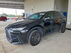 2024 Lexus Nx 250 Base Black vin: 2T2ADCAZ5RC015048