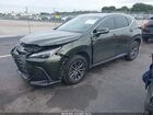 2025 Lexus Nx 250   Green vin: 2T2ADCAZ5SC019011