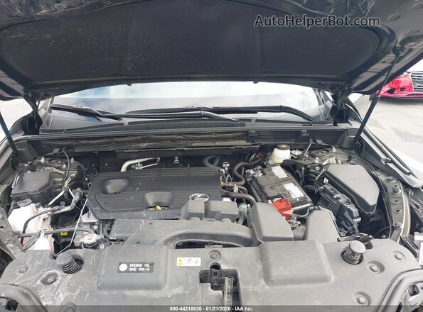 2T2ADCAZ5SC019011 2025 LEXUS NX 250 Green Вид ззаду