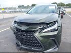 2025 Lexus Nx 250   Green vin: 2T2ADCAZ5SC019011