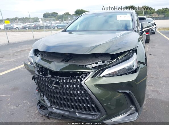 2T2ADCAZ5SC019011 2025 LEXUS NX 250 Green Вид спереду
