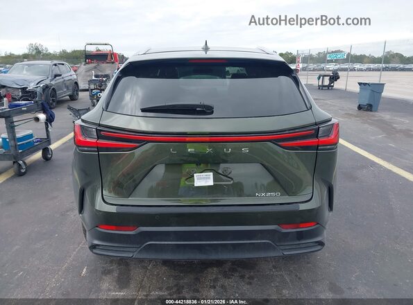 2T2ADCAZ5SC019011 2025 LEXUS NX 250 Green 