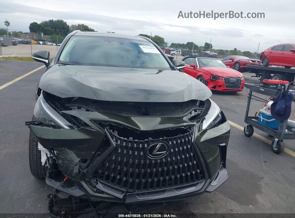 2T2ADCAZ5SC019011 2025 LEXUS NX 250 Green Вид задньої частини салону