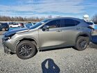 2024 Lexus Nx 250 Base Желто-коричневый vin: 2T2ADCAZ6RC007525