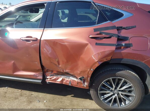 2T2ADCAZ6SC029983 2025 LEXUS NX 250 Темно-бордовый Вид спереди