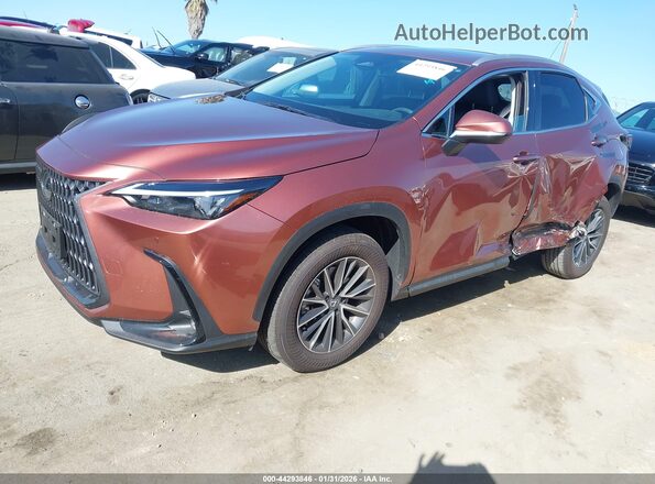 2T2ADCAZ6SC029983 2025 LEXUS NX 250 Темно-бордовый Передняя левая четверть