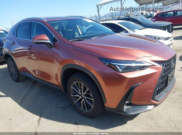 2T2ADCAZ6SC029983 2025 LEXUS NX 250 Темно-бордовый Передняя правая четверть