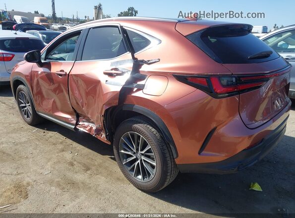 2T2ADCAZ6SC029983 2025 LEXUS NX 250 Темно-бордовый Задняя левая четверть