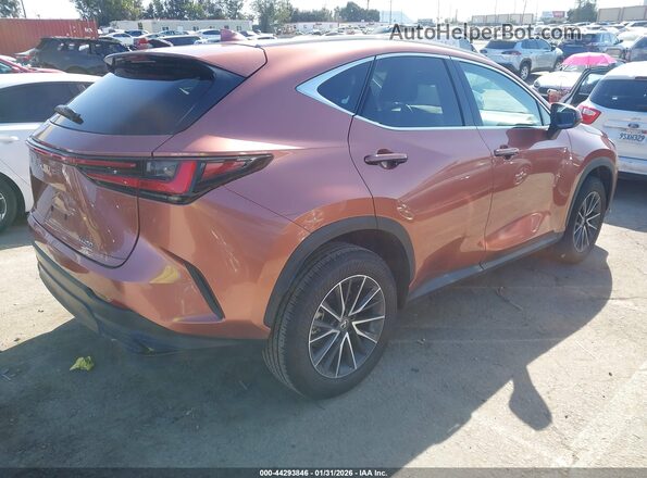 2T2ADCAZ6SC029983 2025 LEXUS NX 250 Темно-бордовый Задняя правая четверть