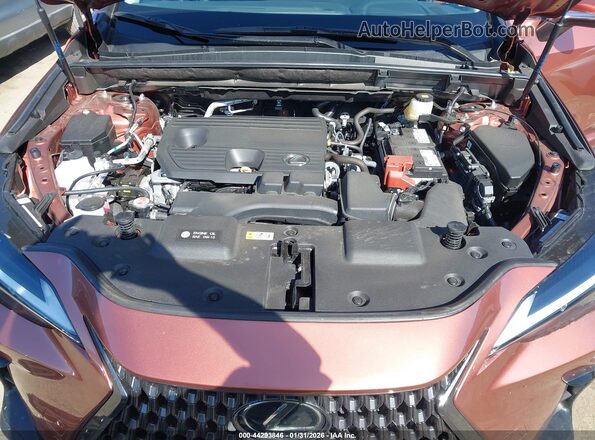2T2ADCAZ6SC029983 2025 LEXUS NX 250 Темно-бордовый Вид сзади