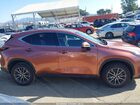 2025 Lexus Nx 250   Темно-бордовый vin: 2T2ADCAZ6SC029983