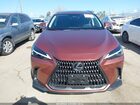 2025 Lexus Nx 250   Темно-бордовый vin: 2T2ADCAZ6SC029983