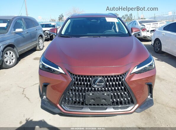 2T2ADCAZ6SC029983 2025 LEXUS NX 250 Темно-бордовый Вид задней части салона