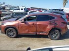 2025 Lexus Nx 250   Темно-бордовый vin: 2T2ADCAZ6SC029983