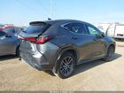 2025 Lexus Nx 250   Серый vin: 2T2ADCAZ8SC022565