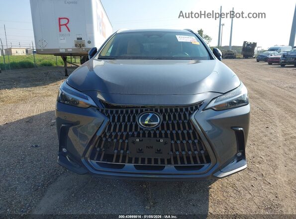 2T2ADCAZ8SC022565 2025 LEXUS NX 250 Серый Вид задней части салона