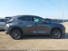 2025 Lexus Nx 250   Серый vin: 2T2ADCAZ8SC022565