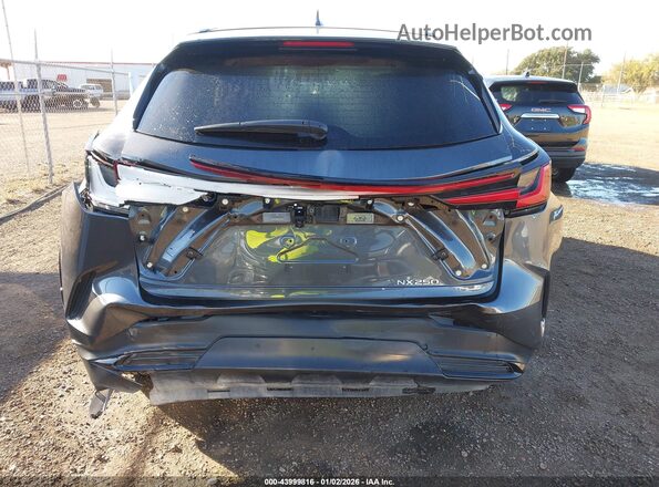 2T2ADCAZ8SC022565 2025 LEXUS NX 250 Серый 