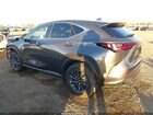 2025 Lexus Nx 250   Gray vin: 2T2ADCAZXSC027055