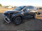 2025 Lexus Nx 250   Gray vin: 2T2ADCAZXSC027055