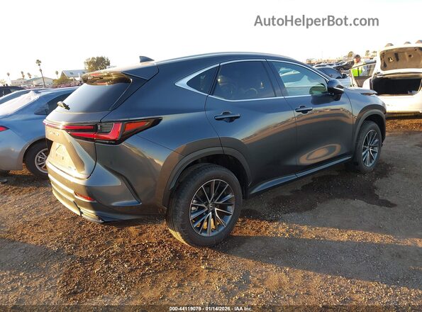 2T2ADCAZXSC027055 2025 LEXUS NX 250 Gray Հետևի աջ