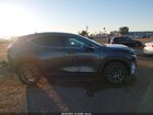 2025 Lexus Nx 250   Gray vin: 2T2ADCAZXSC027055