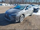 2024 Lexus Nx 350   Gray vin: 2T2AGCEZ0RC060044