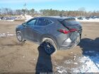 2024 Lexus Nx 350   Gray vin: 2T2AGCEZ0RC060044