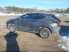 2024 Lexus Nx 350   Gray vin: 2T2AGCEZ0RC060044