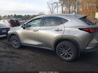 2022 Lexus Nx 350   Champagne vin: 2T2AGCEZ2NC011261