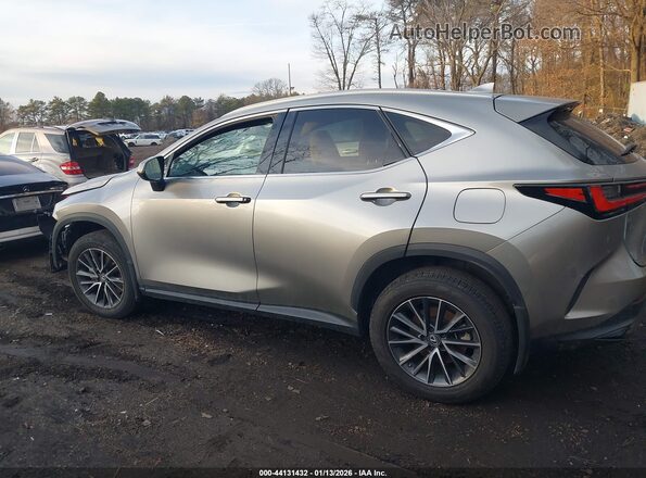 2T2AGCEZ2NC011261 2022 LEXUS NX 350 Champagne Панорамный вид салона 360°