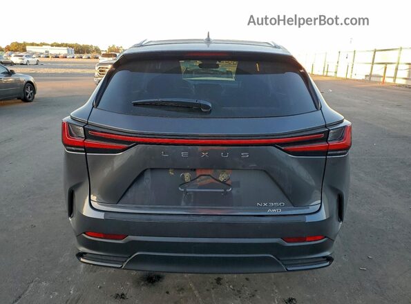 2T2AGCEZ7TC104810 2026 LEXUS NX Gray Vista trasera