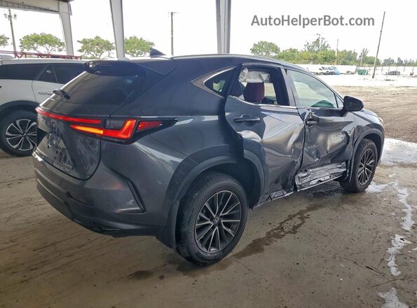 2T2AGCEZ8TC096524 2026 LEXUS NX Gray Հետևի աջ