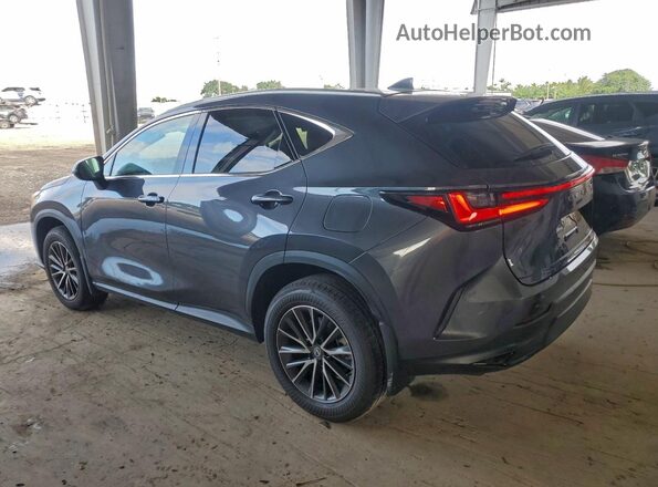 2T2AGCEZ8TC096524 2026 LEXUS NX Gray Հետևի ձախ