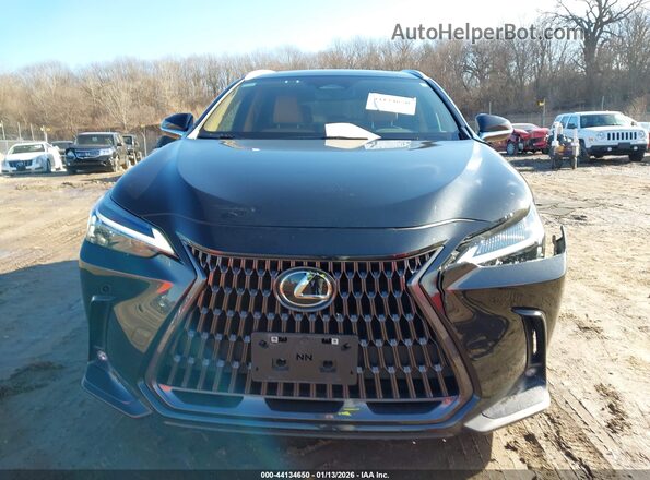 2T2AKCEZ7PC013346 2023 LEXUS NX 350H Black Vista del cuadro de instrumentos