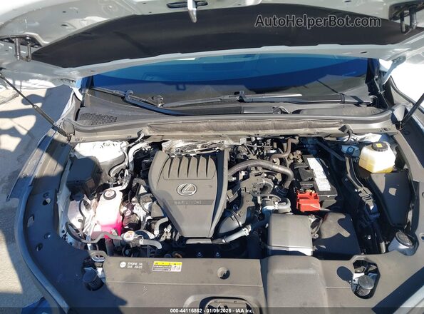 2T2BAMBA0RC045022 2024 LEXUS RX 350 Белый Вид сзади