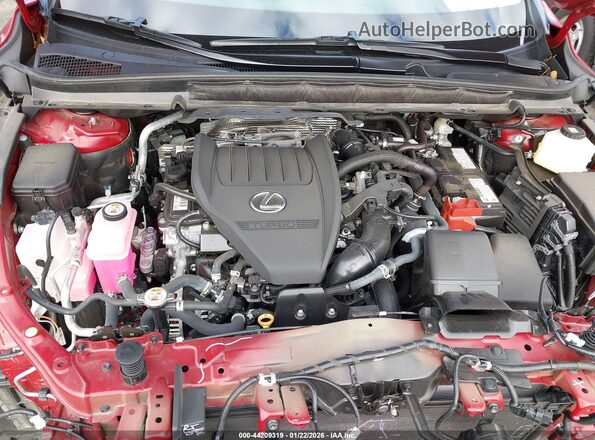 2T2BAMBA0SC055586 2025 LEXUS RX Красный Вид сзади