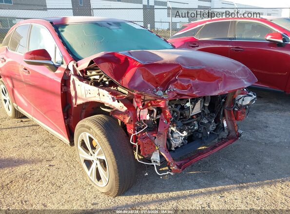 2T2BAMBA2SC055931 2025 LEXUS RX 350 Red Դիմացի տեսք