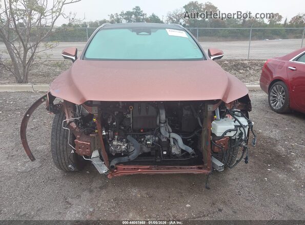 2T2BAMBA8PC021984 2023 LEXUS RX 350 Оранжевый Вид задней части салона